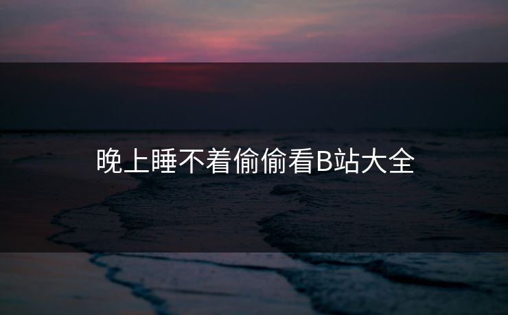 晚上睡不着偷偷看B站大全